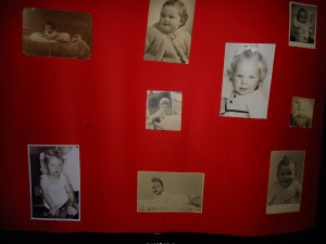 GSL Texel september 2014 054