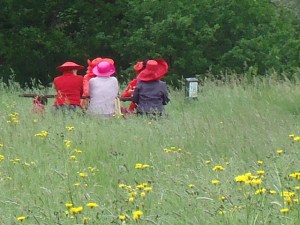 GSL Doddendael 15-5-14 039