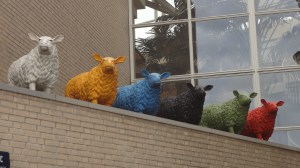 GSL Dordrechtjuni2014 012