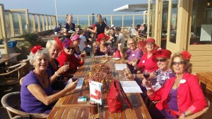 20140919_121236_resized_1