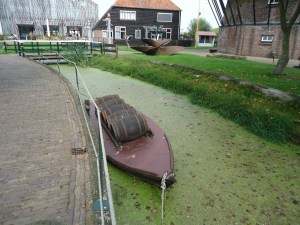 GSL Texel september 2014 042