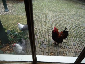 GSL Nieuwjaarslunch 10-1-15 001