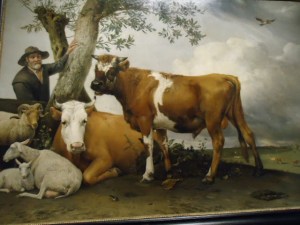 GSL Mauritshuis 7 februari 2015 017