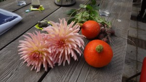 GSL2015GlurenbijdeBuren 173