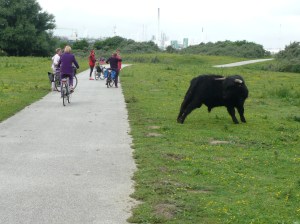 GSL Fietsen op Landtong Rozenburg 35-6-16 013