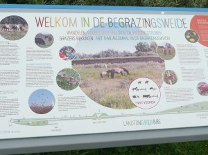 GSL Fietsen op Landtong Rozenburg 35-6-16 026