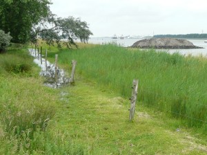 GSL Fietsen op Landtong Rozenburg 35-6-16 028